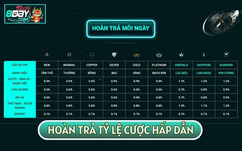 Nâng cấp tài khoản VIP sẽ giúp bạn có cơ hội nhận được mức hoàn trả hấp dẫn