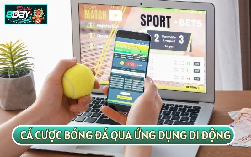 Cá cược qua ứng dụng di động cũng là sự lựa chọn phổ biến của nhiều bet thủ