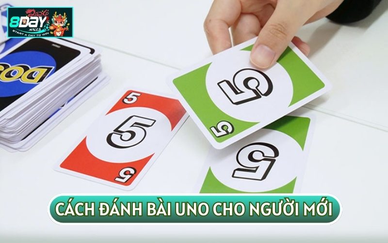 Theo quy tắc chung BÀI UNO sẽ có từ 2 cho đến 10 người tham gia