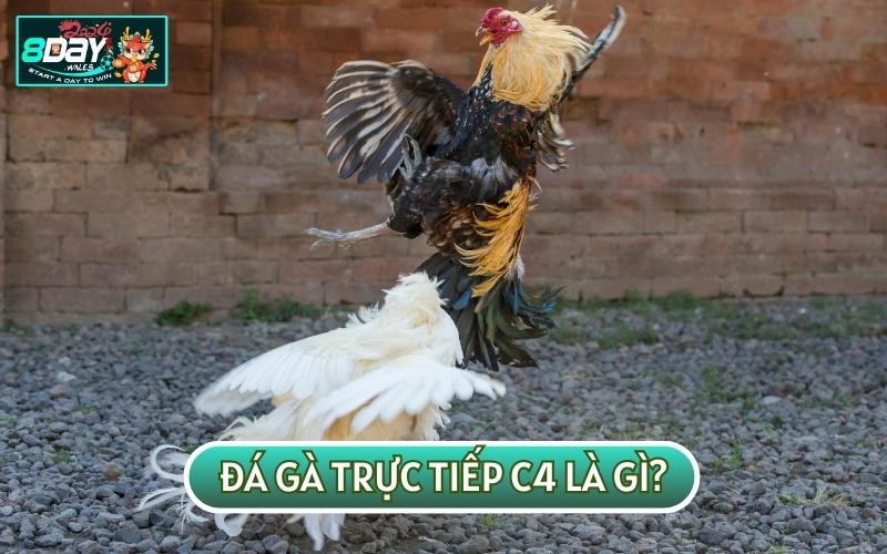 ĐÁ GÀ TRỰC TIẾP C4 là hình thức được nhiều sư kê lựa chọn để giải trí