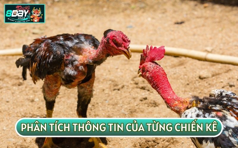 Phân tích thông tin của các chiến kê sẽ giúp bạn đưa ra được quyết định phù hợp