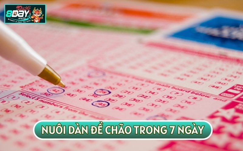 Nuôi trong 7 ngày cũng là cách để bạn tập trung vào mức lợi nhuận thu về