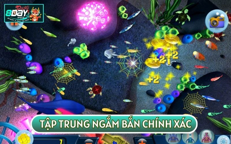 Bet thủ nên học cách ngắm bắn chính xác để giảm thiểu rủi ro